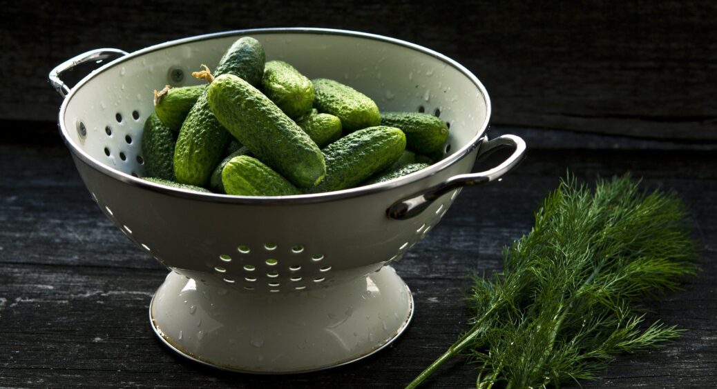 Плюнула на хімію і просто налила 1 літр під огірки: засипали врожаєм і не жовтіють. Щодня є свіжий салат 