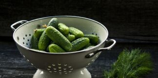 Городник розповів, як без хімії підвищити врожайність огірків