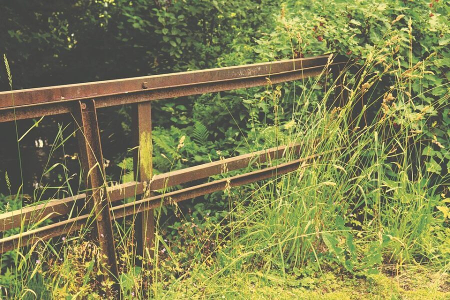 Експерти розповіли, як надійно вивести бур'яни між плиткою у дворі