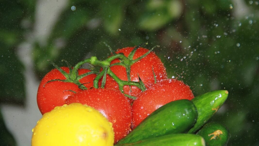 Досвідчений дачник розповів, чим збільшити родючість помідорів, перцю, огірків