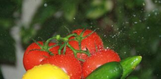 Добриво для помідорів та огірків