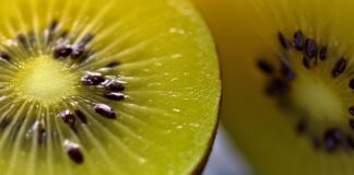 Як виростити ківі в домашніх умовах