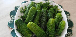 Секрети соління смачних огірків: швидко та просто