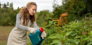 Жінки з цими іменами точно найкращі городниці 