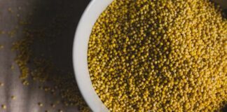 Дачники поділились рецептом добрива для перців на базі пшона