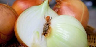 Як правильно поливати цибулю влітку