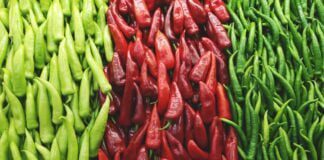 Порада експертів: які найврожайніші сорти пекучого перцю