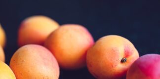 Шеф-кухар розповів, як смачно приготувати абрикосове варення