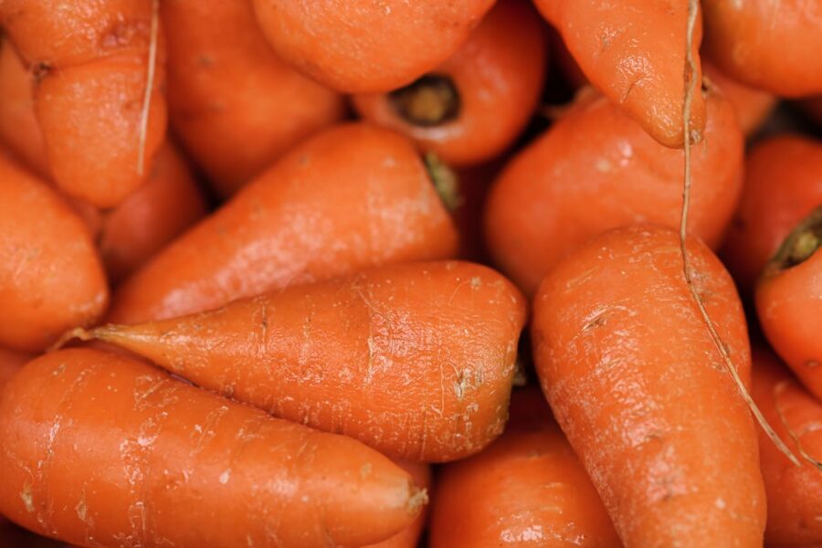 Городники назвали найефективніше підживлення для моркви