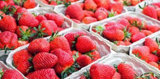 Порада городників: як підживити полуницю, що не зріє і погано росте