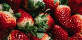 Як врятувати полуницю від сірої гнилі