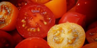 Томати одразу пустяться в ріст: експерти назвали ефективне добриво