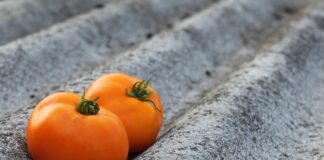 Чим підгодувати томати у другій половині літа