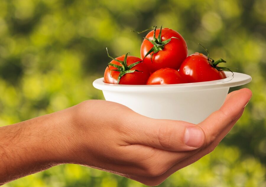 Городники розповіли, як приготувати якісне та ефективне добриво для помідорів у відкритому ґрунті