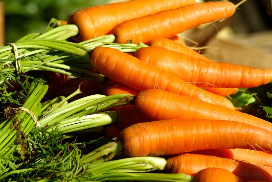Городники порадили найкращий спосіб вирощування моркви на власній ділянці для смачних плодів