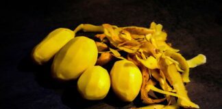 Городник розповів, як зі старої картоплі зробити корисне добриво для ділянки