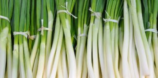 Кухар розповів, як правильно заготовляти зелену цибулю на зиму