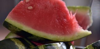 Експерти назвали 3 поширені помилки, через які кавуни не стають солодкими