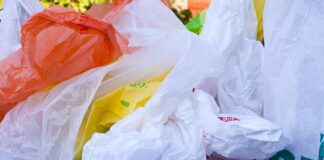 Як заморозити ягоди на зиму правильно