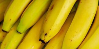 Просте та ефективне добриво для вашого городу