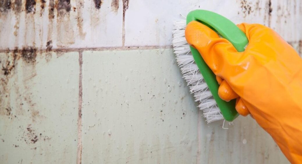 Боротьба з пліснявою у ванній кімнаті: ефективні методи, які дозволять швидко та надовго прибрати проблеми 