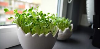 Знадобиться тільки цей дієвий розчин та 5 хвилин вільного часу