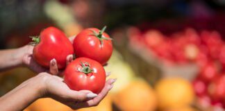 Городник розповів, як зробити, щоб помідори швидше достигали на кущі