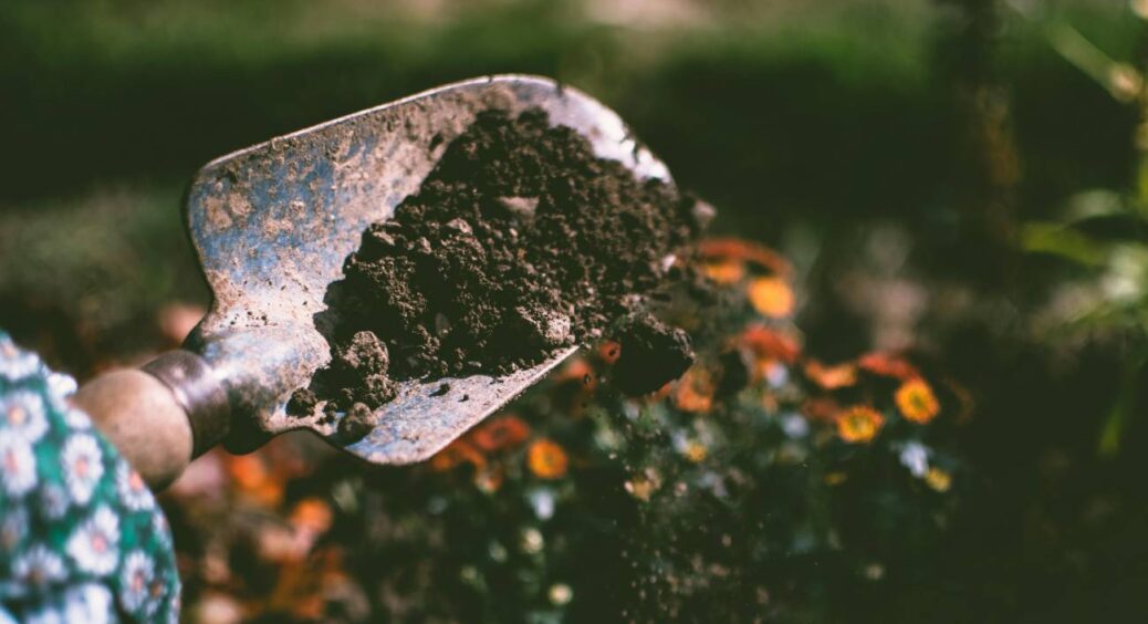 Гній відходить у минуле: це копієчне добриво замінить всі підживки і розпушить ґрунт на грядках без лопати 