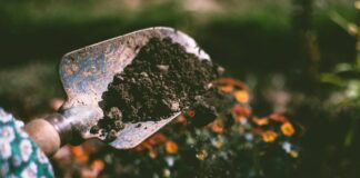 Експерти назвали універсальну альтернативу гною