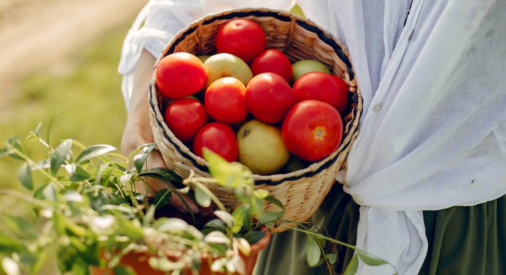 1 склянка на лійку і огірки з помідорами зав’язуються під 100%: “болячок” нуль, листя не жовтіє та не сохне 
