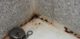 Як очистити ванну від плісняви