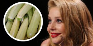 Чим удобрює кабачки на грядці Тіна Кароль