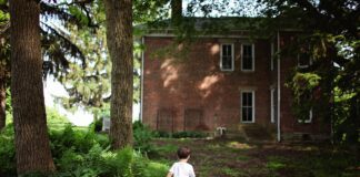 Експерти назвали 3 рослини, які не слід висаджувати у саду