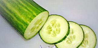 Городник розповів, чому потрібно підживлювати огірки хлібом