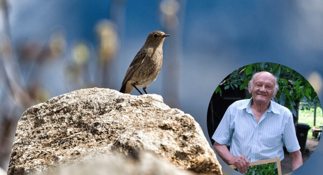 Хитрість діда, який пропрацював агрономом 38 років: як перемогти птахів на городі економно, швидко і гуманно 