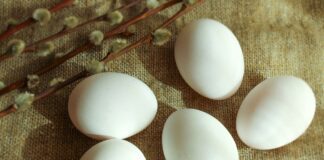 Як використовувати шкаралупу на городі