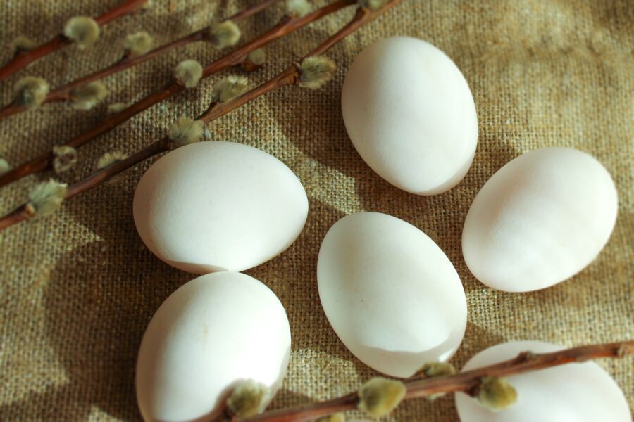 Як використовувати шкаралупу на городі