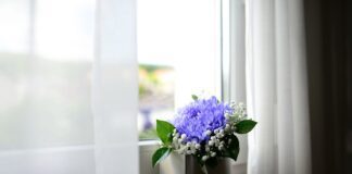 Як відбілити тюль за допомогою солі: поради експертів