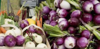 Городник розповів, як укрупнити цибулю і часник перед збором врожаю