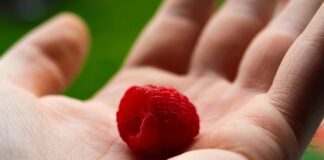 Найкраще добриво для малини