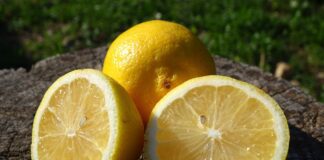 Як захистити від комах