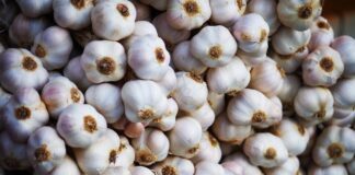 Експерти розповіли, що посадити на грядці після збору часнику