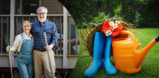 Психологія городника: чому літні люди обирають садівництво