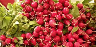 Городник розповів, що потрібно посадити на грядці на місці редиски