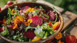 jbu34_fresh_salad_with_beet_and_wight_sous_super_realistic_ph_657d5ff6 