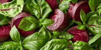 Як зберігати буряк в погребі, щоб він не втратив свій смак 