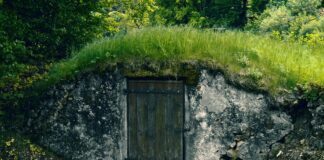 Господар розповів, як вивести конденсат у приміщенні котячим наповнювачем