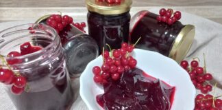 Кондитер поділився смачним рецептом желе з порічки