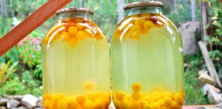 Шеф-кухар поділився смачним рецептом компоту з аличі на зиму