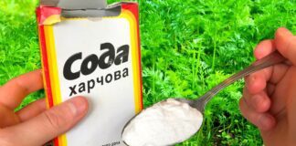 Городники розповіли, як використовувати соду для росту і захисту рослин